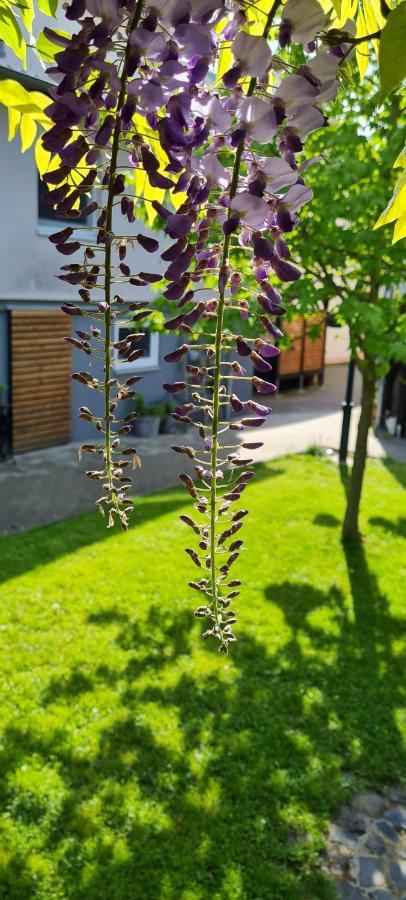 Apartment Maigloeckchen Fritzlar Zewnętrze zdjęcie