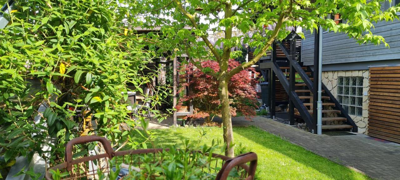 Apartment Maigloeckchen Fritzlar Zewnętrze zdjęcie